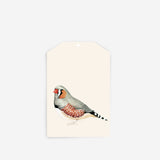 Father Rabbit Stationery | Gift Tag | Bird