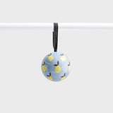 Lettuce | Bauble | Lemons