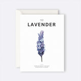 Father Rabbit Stationery | Card | The Lavender