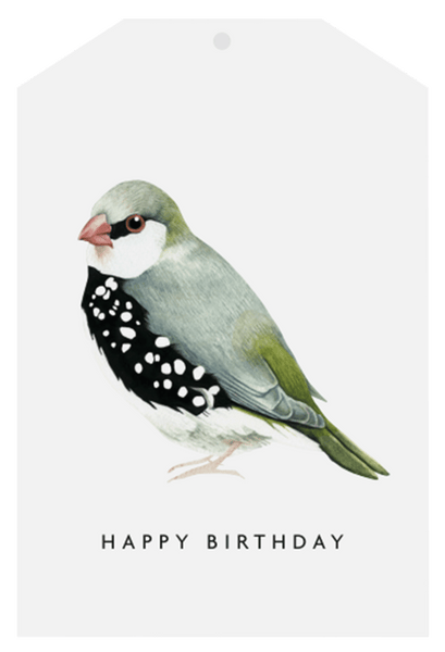 Father Rabbit Stationery | Gift Tag | Happy  Birthday Bird