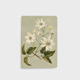 Notebook | Clematis Indivisa