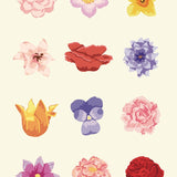 Father Rabbit | Tea Towel | Colourful Floral