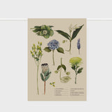 Father Rabbit | Tea Towel Botanical Collection