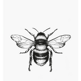 Father Rabbit Stationery | Gift Tag | Bee