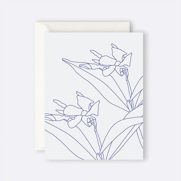 Father Rabbit Stationery | Card | Blue Jasmine