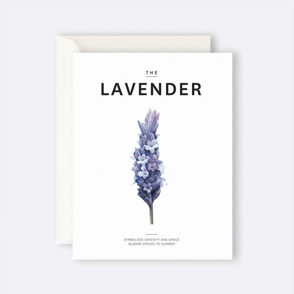 Father Rabbit Stationery | Card | The Lavender