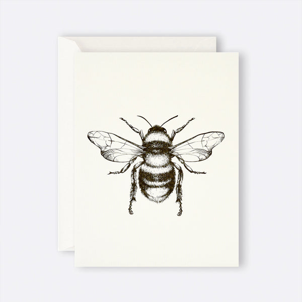 Father Rabbit Stationery | Card | Bumble Bee