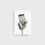 Father Rabbit | B7 Pocket Notebook | Protea