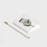 Father Rabbit | B7 Pocket Notebook | Protea