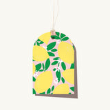 Elm Paper | Tag | Amalfi Lemons
