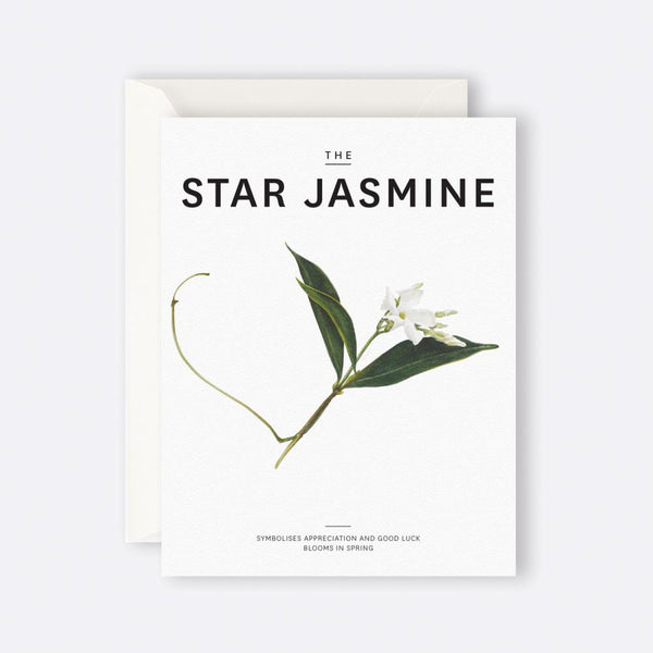 Father Rabbit Stationery | Card | The Star Jasmine