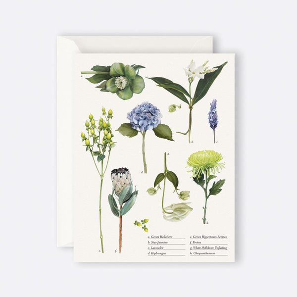 Father Rabbit Stationery | Card | Botanical Collection